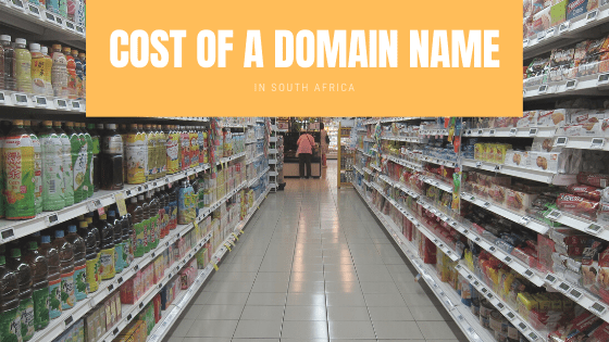 how-much-does-a-domain-cost-in-south-africa-revealed